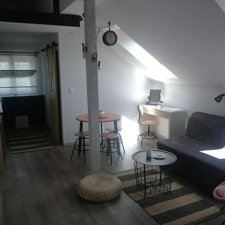 Studio Apartman Hana Apartamento Drežnik Grad Exterior foto