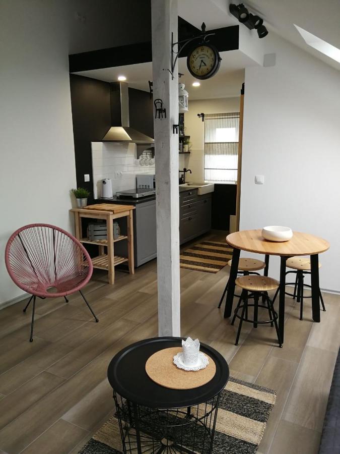 Studio Apartman Hana Apartamento Drežnik Grad Exterior foto