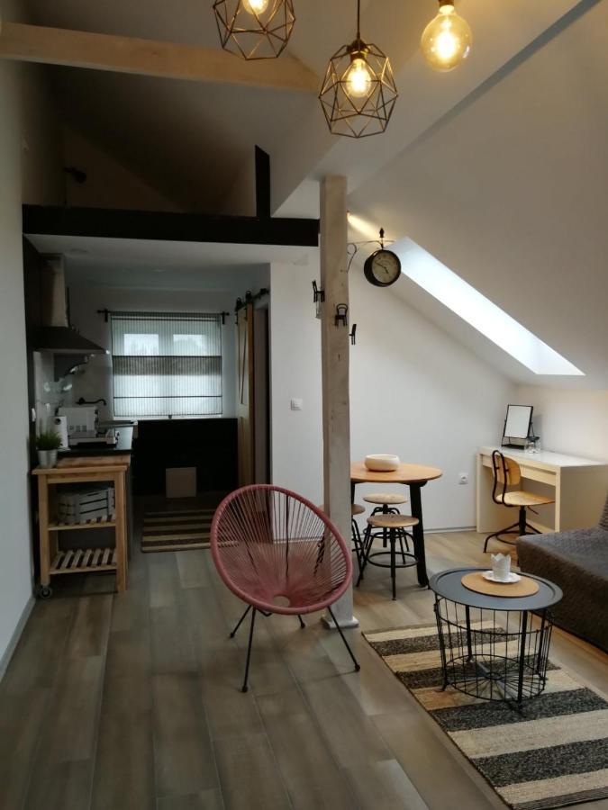 Studio Apartman Hana Apartamento Drežnik Grad Exterior foto
