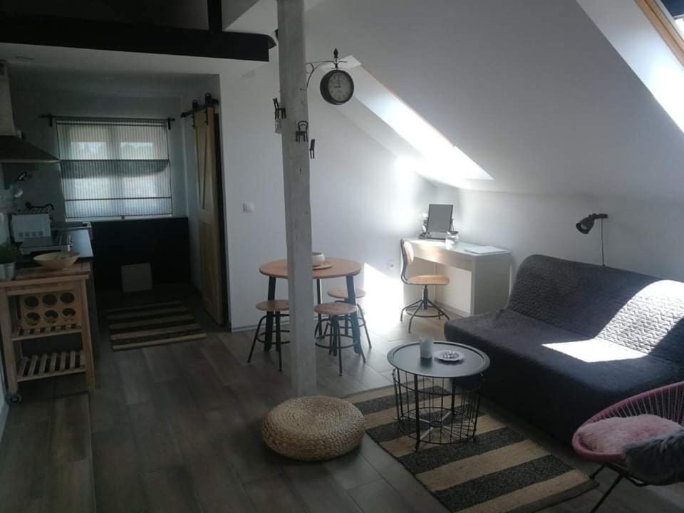 Studio Apartman Hana Apartamento Drežnik Grad Exterior foto