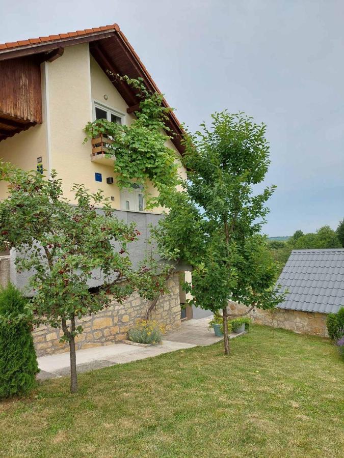 Studio Apartman Hana Apartamento Drežnik Grad Exterior foto